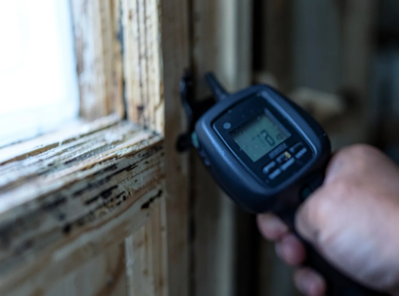 Moisture Inspection And Documentation in Hartland, MN